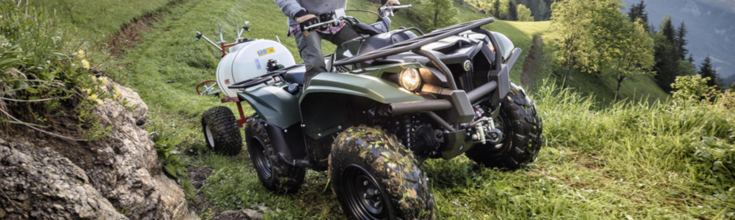 2022 Kawasaki for sale in Team Winnebagoland Powersports Center, Oshkosh, Wisconsin